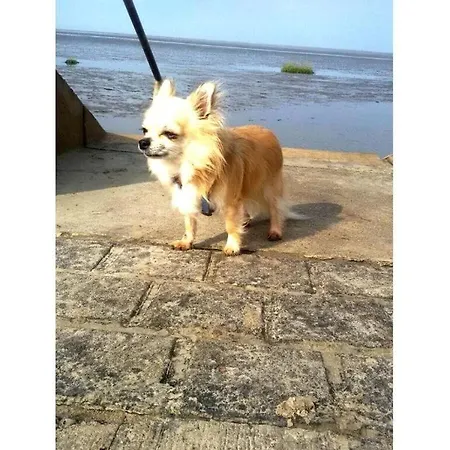 Sun, Mudflats And Sea