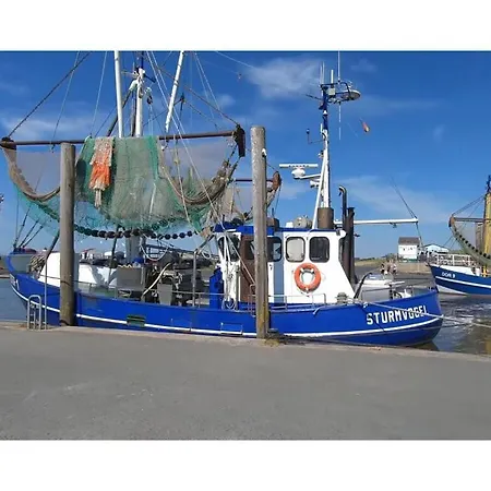 Sun, Mudflats And Sea Dorum-Neufeld