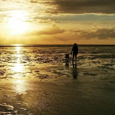 Apartment Sun, Mudflats And Sea *