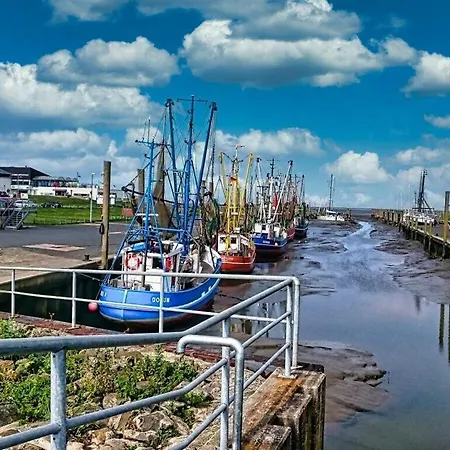 Sun, Mudflats And Sea