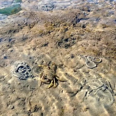 Sun, Mudflats And Sea Apartment