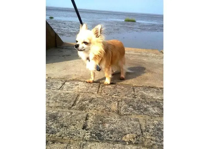 Sun, Mudflats And Sea