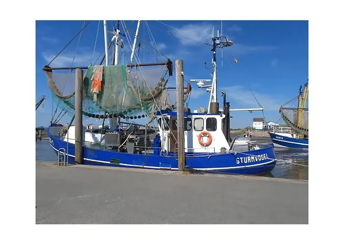 Sun, Mudflats And Sea Dorumer Neufeld