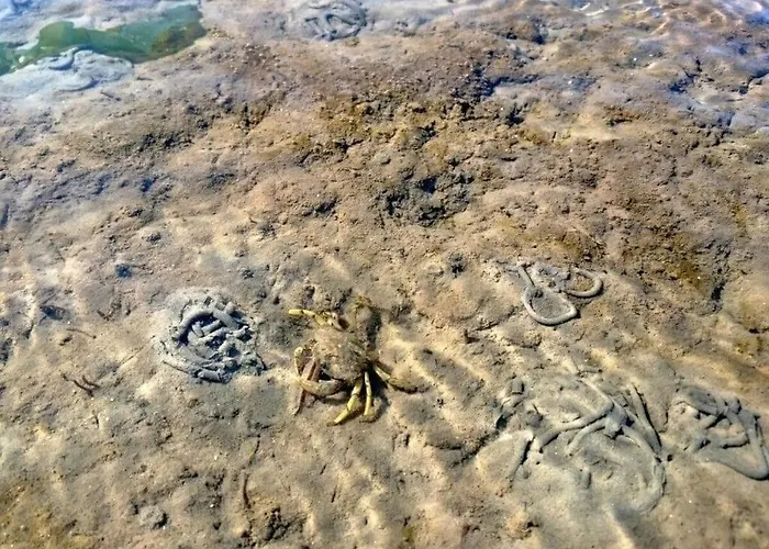 Sun, Mudflats And Sea Apartman